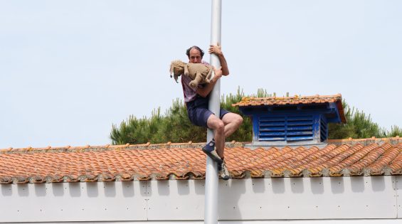 CHIEN 31.05.25 ©Ville de Saint-Jean-de-Monts (39)